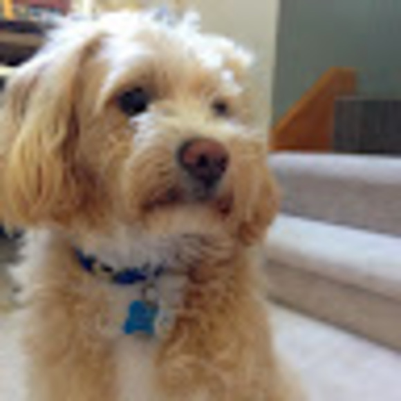 Meet your Posher, Kawa - Picture 1 of 1